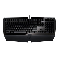 Razer Arctosa Gamer Keyboard Black on Black - US