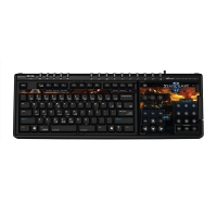 SteelSeries Zboard Limited Edition (StarCraft II) - Layout US