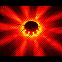 Lamptron Color Flash RingPuk - Rosso