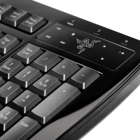 Razer Arctosa Gamer Keyboard Silver on Black - US