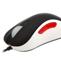 ZOWIE EC2 eVo CL Pro Gaming Mouse