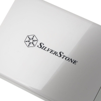 Silverstone SST-UC01W Wall Charger con 5 porte USB, 40W / 8A