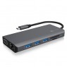 Icy Box IB-DK4070-CPD Docking USB Type-C 12 in 1 - Argento