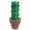 Cute Catus Home Decor - Buckle Cactus