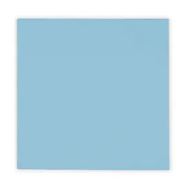 Thermal Grizzly Minus Pad Pro - 100 x 100 x 0,5 mm Thermal Grizzly Minus Pad Pro - 100 x 100 x 0,5 mm