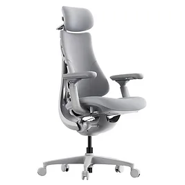 LiberNovo Omni - Sedia Ergonomica con Schienale Attivo FlexFit, Massaggio OmniStretch e Braccioli 4D - Grigio LiberNovo Omni - Sedia Ergonomica con Schienale Attivo FlexFit, Massaggio OmniStretch e Braccioli 4D - Grigio