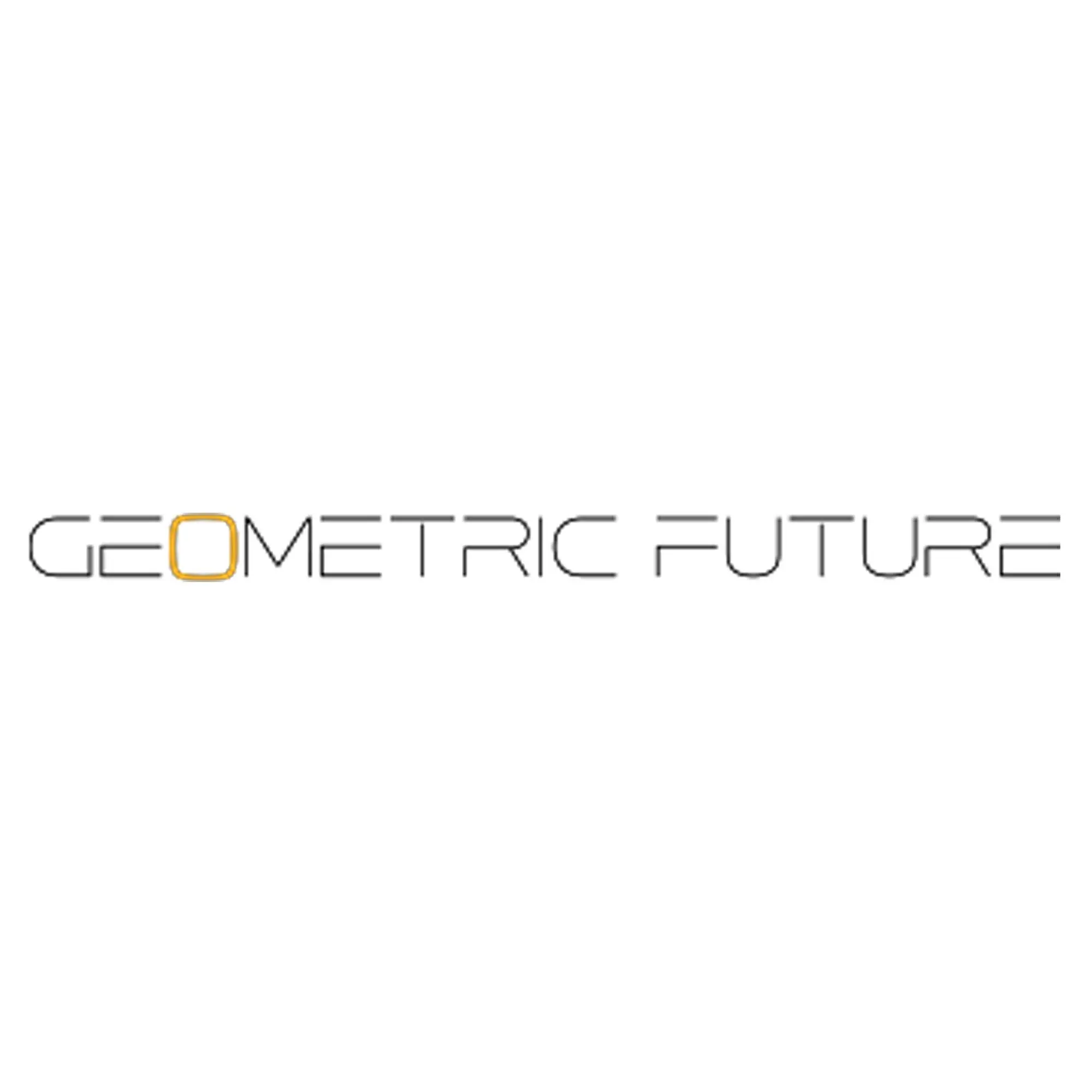 Geometric Future